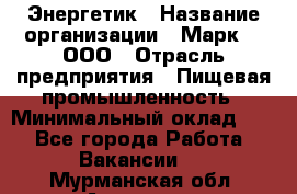 Энергетик › Название организации ­ Марк 4, ООО › Отрасль предприятия ­ Пищевая промышленность › Минимальный оклад ­ 1 - Все города Работа » Вакансии   . Мурманская обл.,Апатиты г.